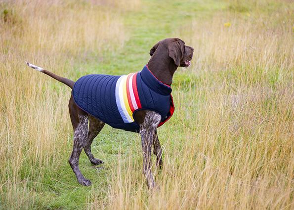 Joules yellow 2024 dog coat