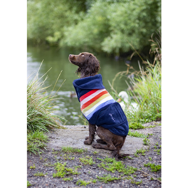 Dog drying coats pets at clearance home