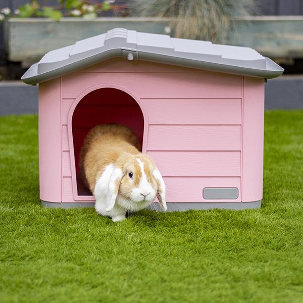 Pet house best sale