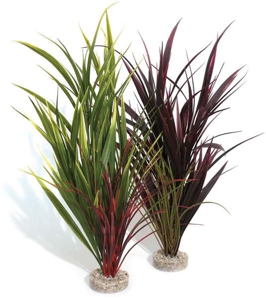 Giant Wild Grass 