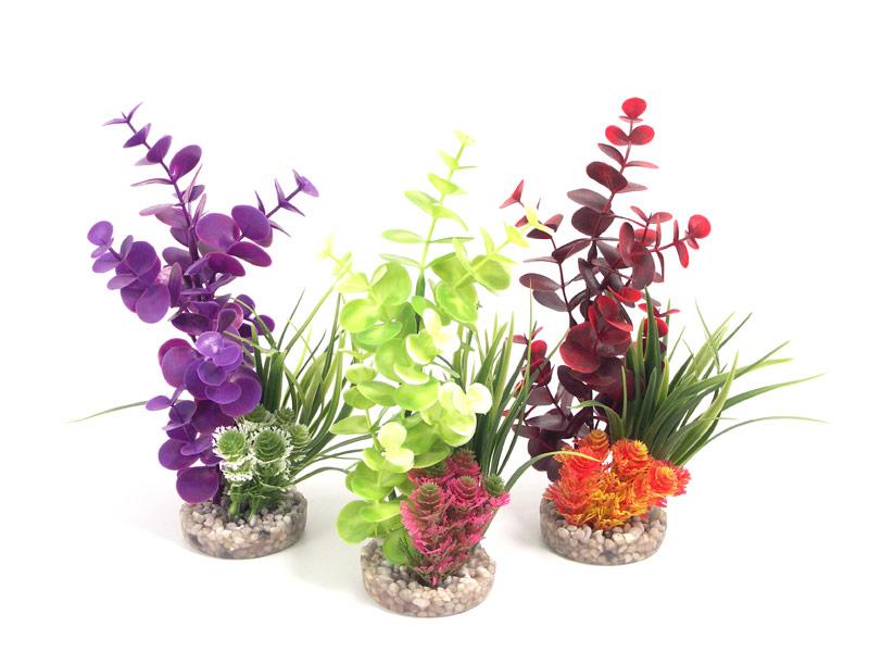 COLOUR BOUQUET 