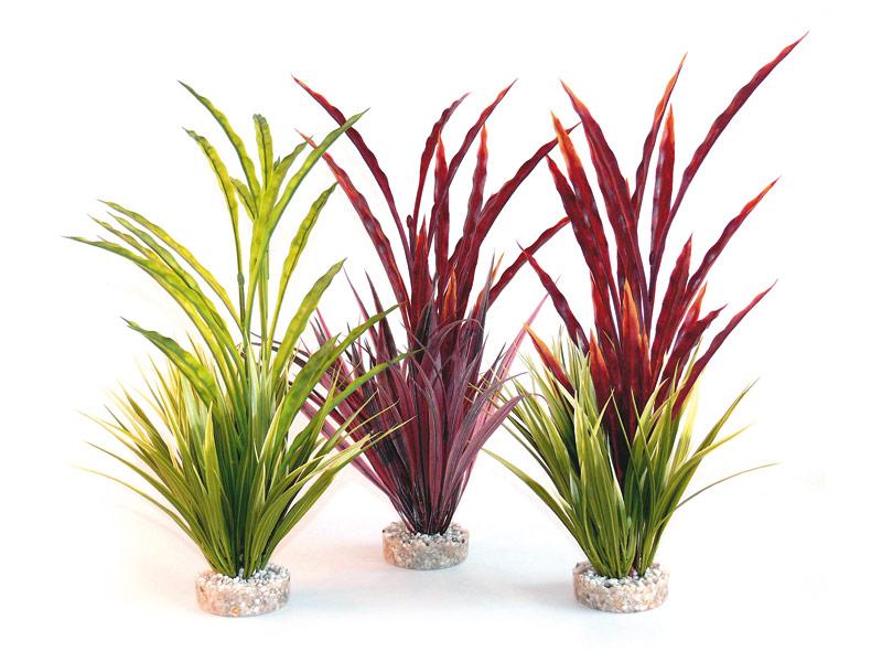 Atoll Grass 