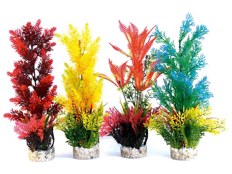 Aquaplant Colour Extra Large 