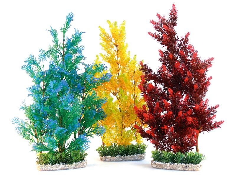 Aquaplant Colour Giant 