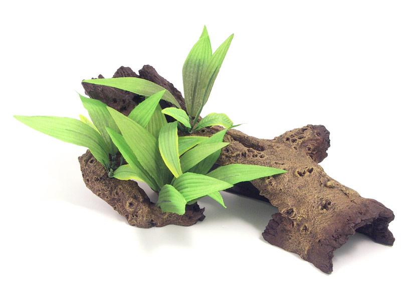 MOPANI WOOD WITH PLANTS MEDIUM 