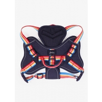 JOULES - RAINBOW HARNESS MED