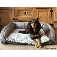 Forty winks 2024 dog beds