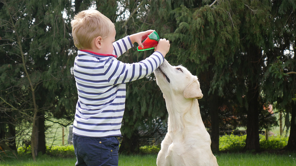 Keeping pets happy and healthy during isolation