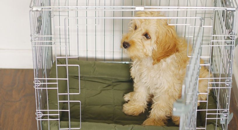 Rosewood store dog cage