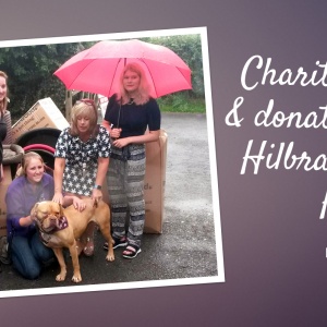 Hilbrae Dogs’ Home – Charity Work and Donation