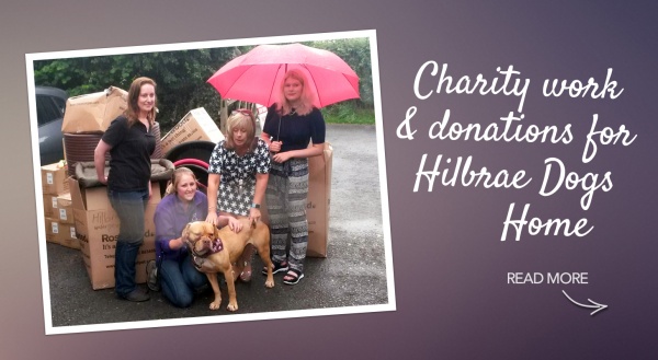 Hilbrae Dogs’ Home – Charity Work and Donation