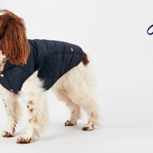 Joules dog best sale coat navy