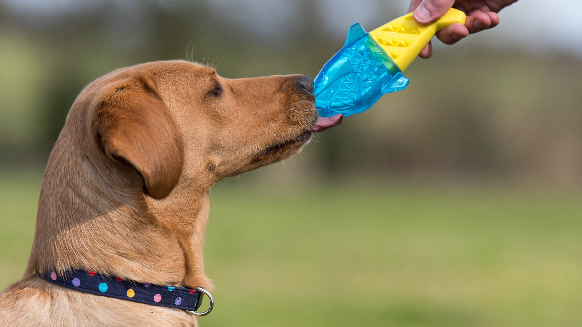 Don't lose your cool in the heatwave