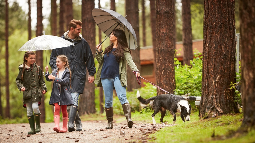 The Best Dog Walking Spots In The UK