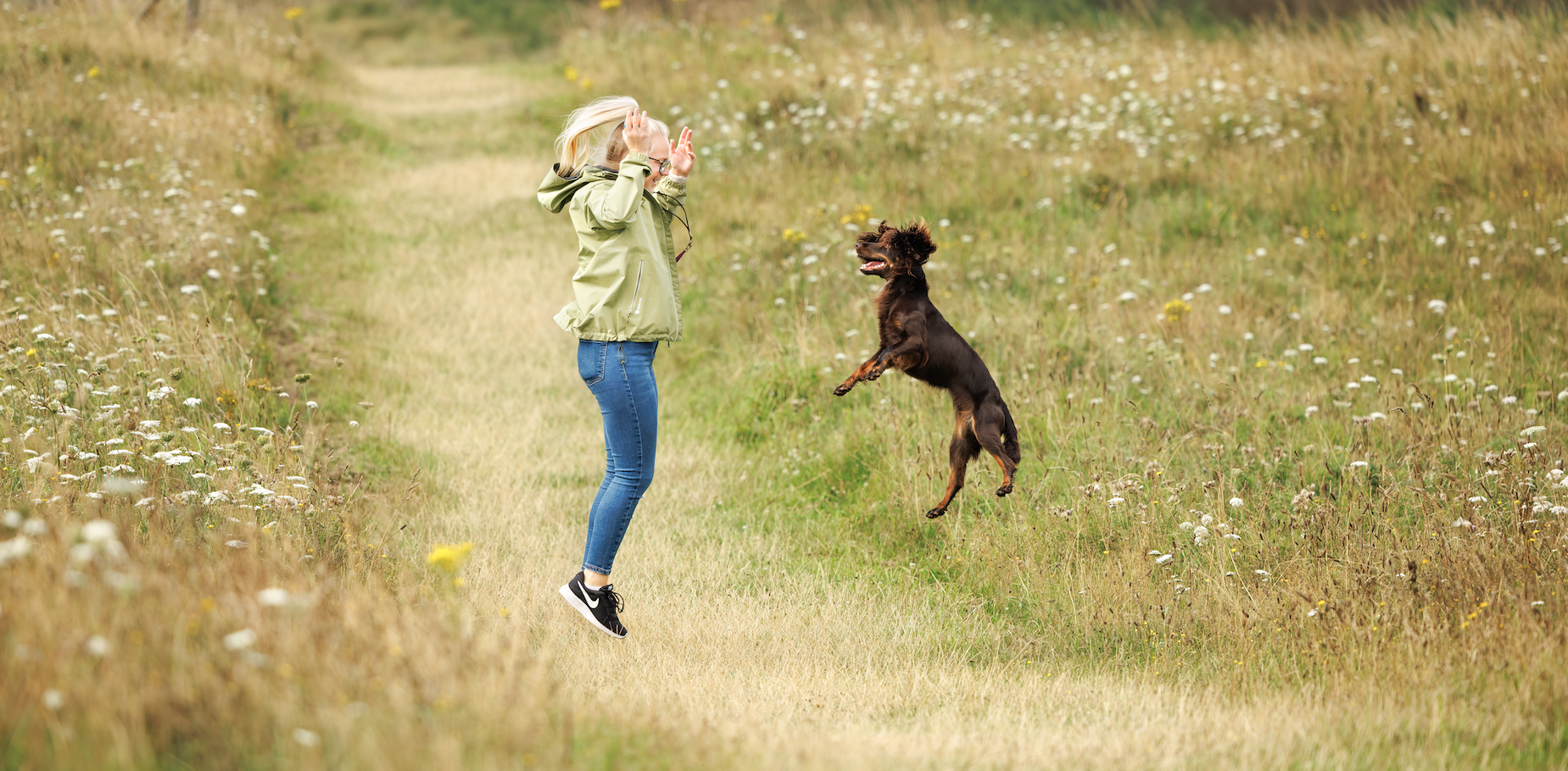 A Day in the Life with my Working Cocker Spaniel Journey