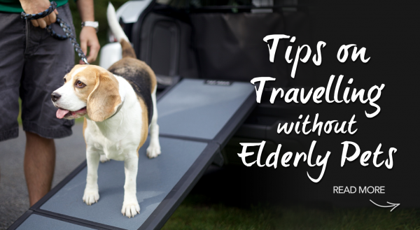 Holidaying without your Elderly Pets